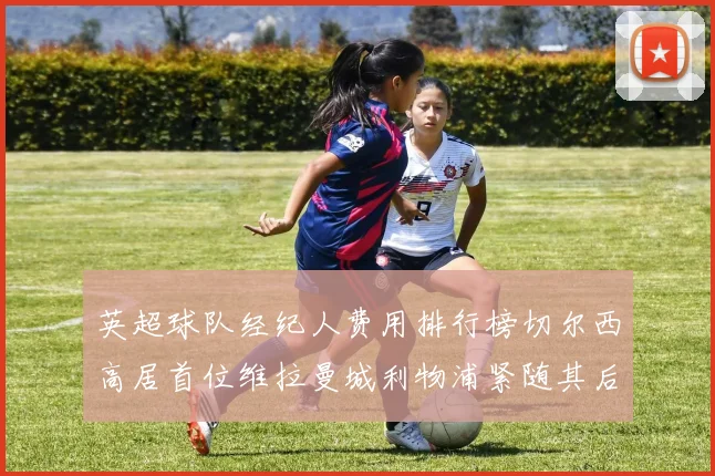 英超球队经纪人费用排行榜切尔西高居首位维拉曼城利物浦紧随其后